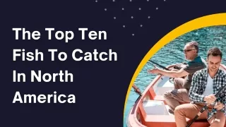 The Top Ten Fish To Catch In North America