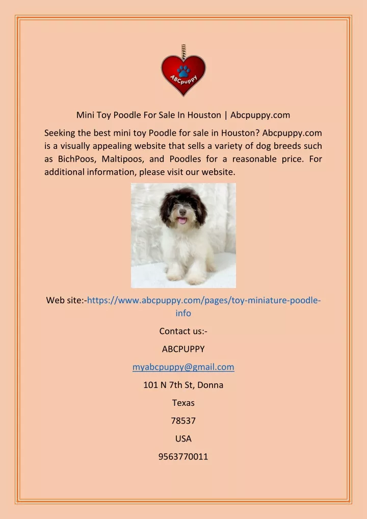 mini toy poodle for sale in houston abcpuppy com