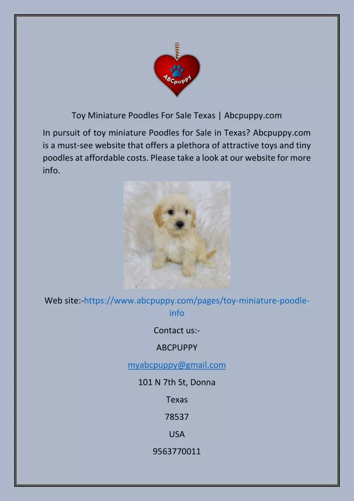 toy miniature poodles for sale texas abcpuppy com