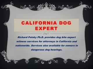California dog expert