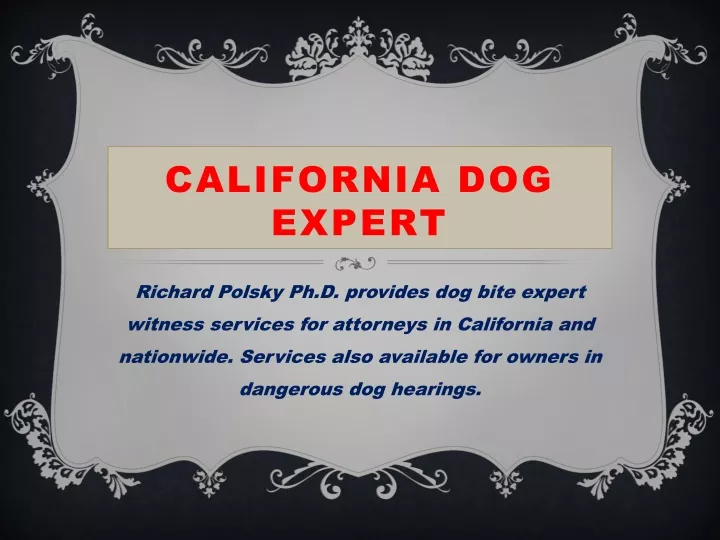 california dog expert