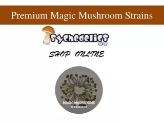 premium magic mushroom strains