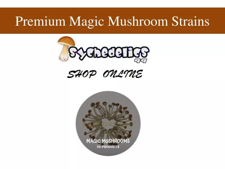 premium magic mushroom strains