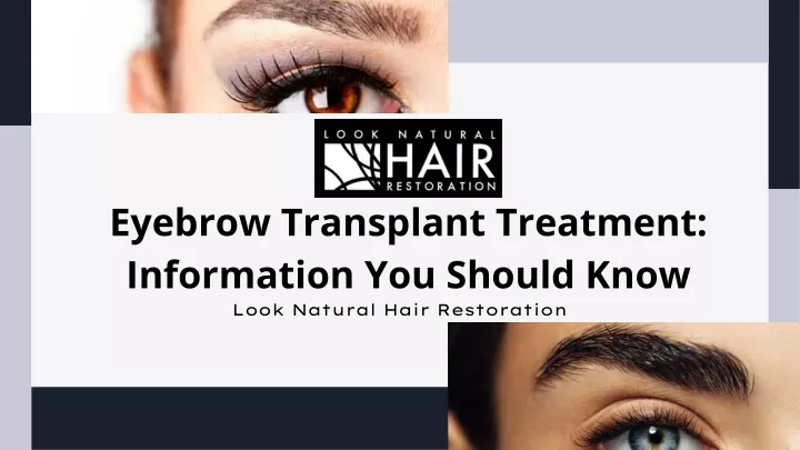 eyebrow transplant treatment information