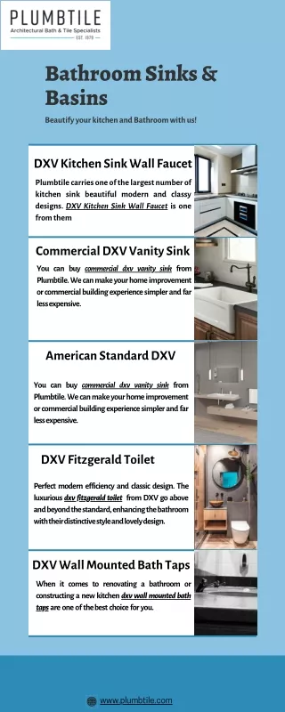 DXV Kitchen Sink Wall Faucet