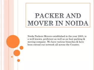 noida packers movers established in the year 2005
