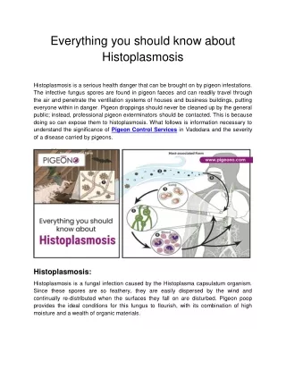 Everything you should know about Histoplasmosis