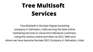 Tree Multisoft Services Best Digital Marketing company in Dehradun