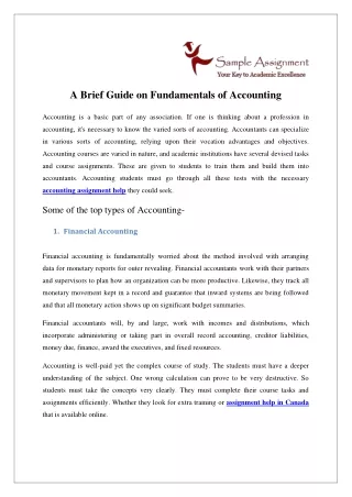 a brief guide on fundamentals of accounting