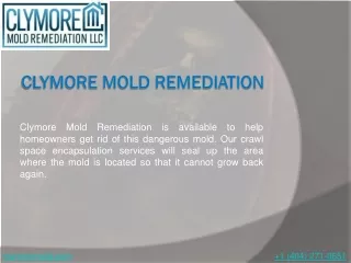 Clymore Mold Remediation