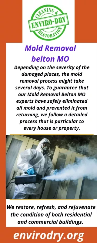 Mold Removal belton MO