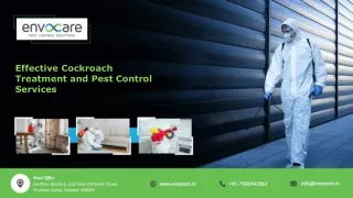 Effective Cockroach Treatment and Pest Control Services