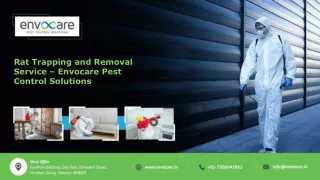 rat trapping and removal service envocare pest