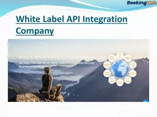 white label api integration company