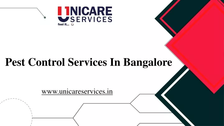 pest control services in bangalore