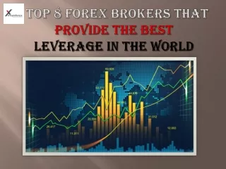 Top 8 Forex brokers that provide the best leverage in the world