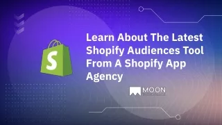 learn about the latest shopify audiences tool