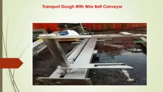 transport dough with wire belt conveyor