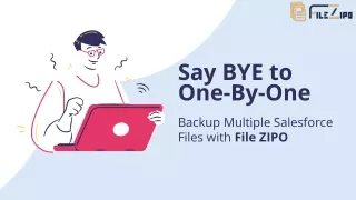 Backup Salesforce Files with File ZIPO
