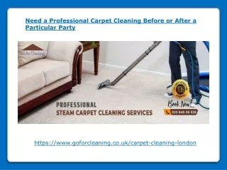 need a professional carpet cleaning before