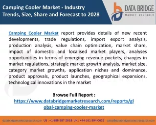 camping cooler market industry trends size share