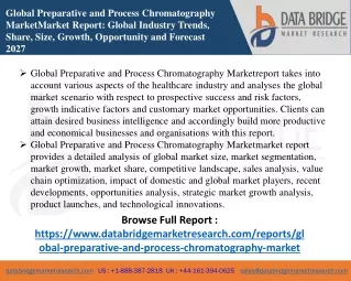 global preparative and process chromatography
