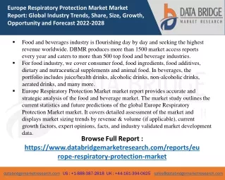 europe respiratory protection market market