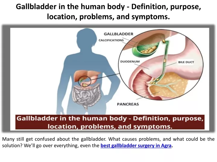 gallbladder in the human body definition purpose