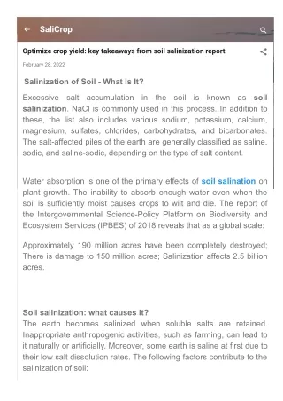 Optimize crop yield key takeaways from soil salinization report