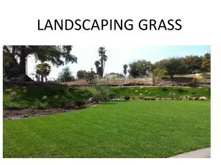 landscaping grass
