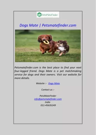 Dogs Mate Petsmatefinder.com