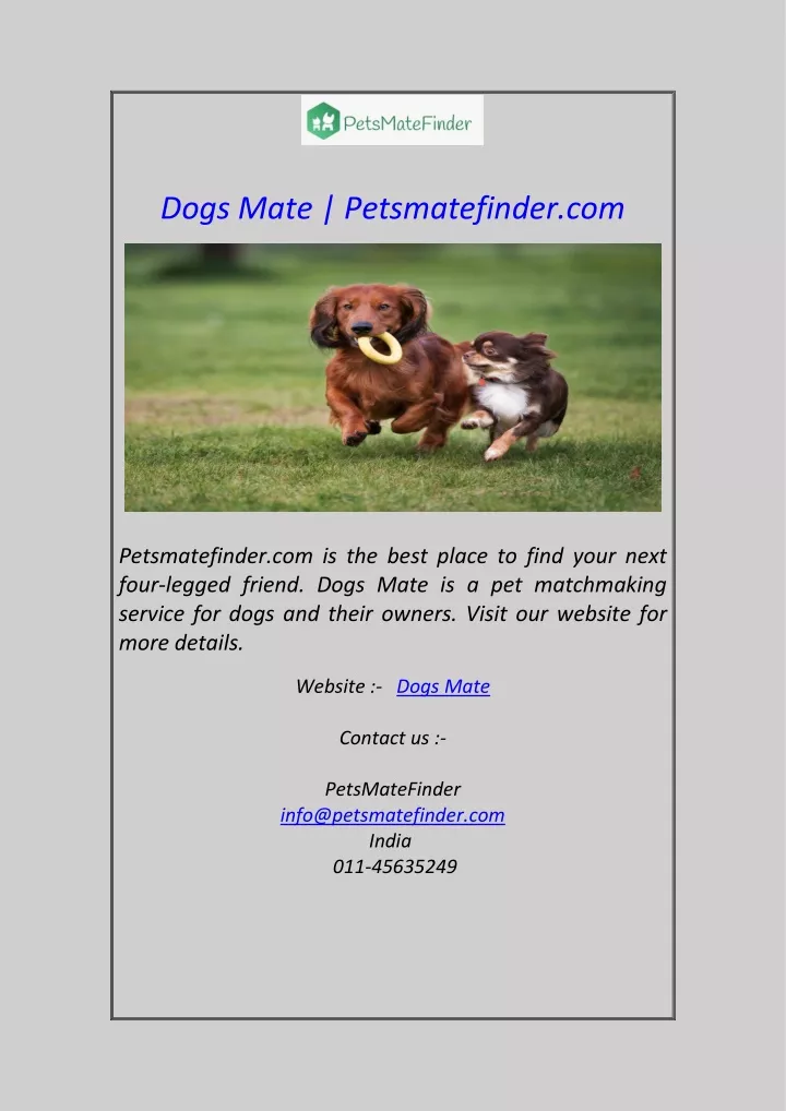dogs mate petsmatefinder com