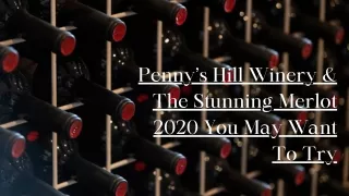 Penny’s Hill Winery & The Stunning Merlot 2020 You May Want To Try