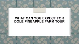 what can you expect for dole pineapple farm tour