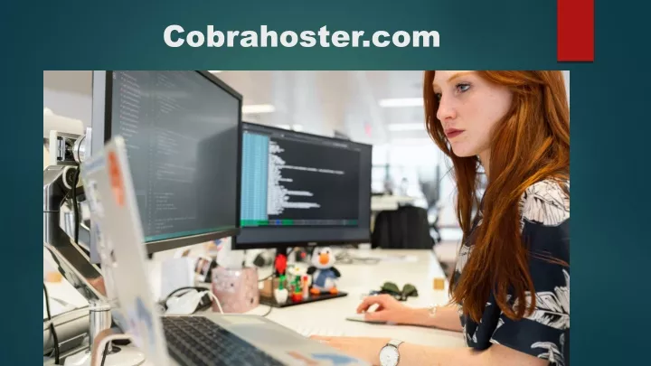 cobrahoster com