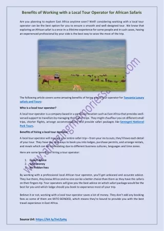 benefits of working with a local tour operator