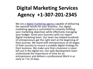 digital marketing services agency 1 307 201 2345
