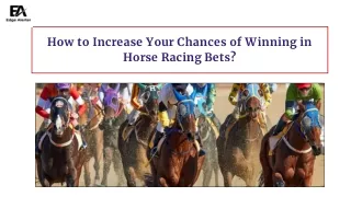 How to Increase Your Chances of Winning in Horse Racing Bets