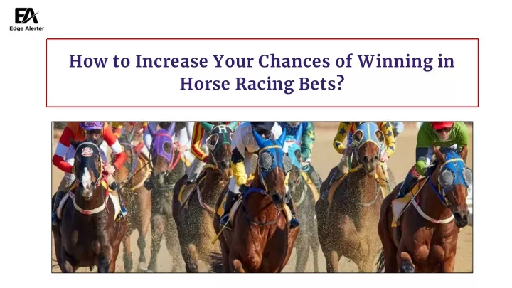 how to increase your chances of winning in horse racing bets