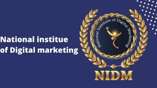 national institue of digital marketing
