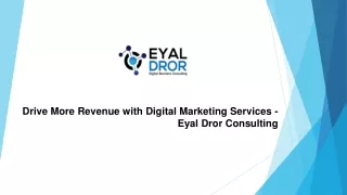 Drive More Revenue with Digital Marketing Services - Eyal Dror Consulting