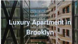 luxury apartment in brooklyn