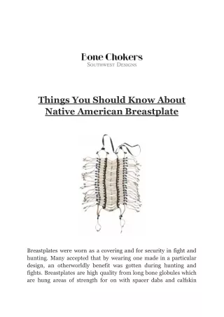 Things You Should Know About Native American Breastplate