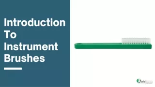introduction to instrument brushes