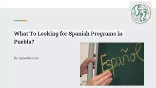 What To Looking for Spanish Programs in Puebla?
