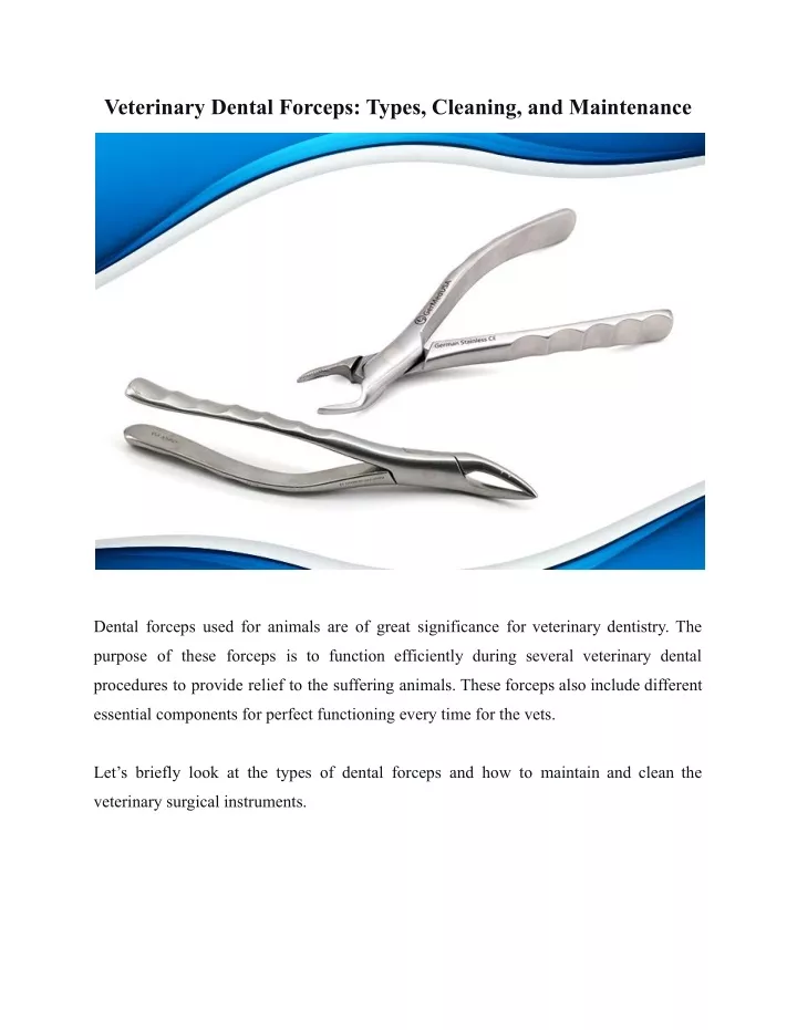 veterinary dental forceps types cleaning