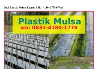 jual plastik mulsa eceran 0831 4180 1778 wa