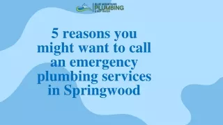 5 reasons you might want to call an emergency plumbing services in Springwood (1)
