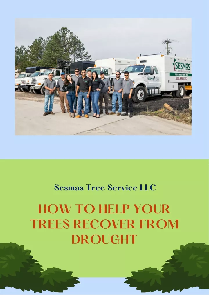 sesmas tree service llc