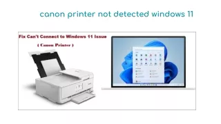 canon printer not detected windows 11